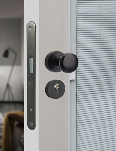 無漆木門,實(shí)木復(fù)合門,木門廠家,衣柜定制,木門加盟,全屋定制加盟,木門十大品牌